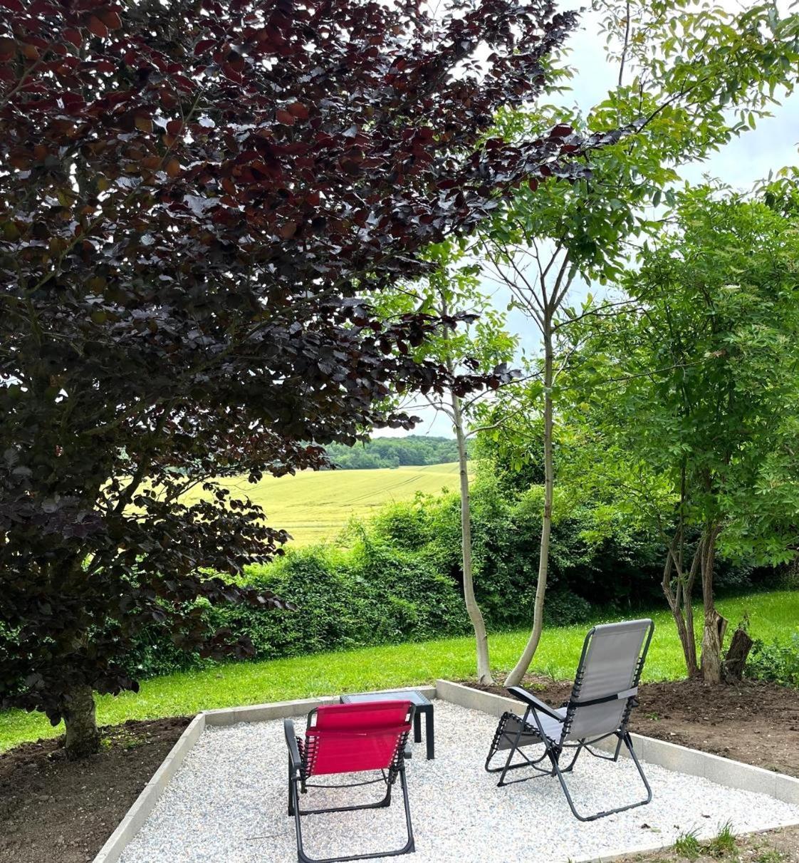 La Demeure D'Othe Bed & Breakfast Sormery Exterior photo