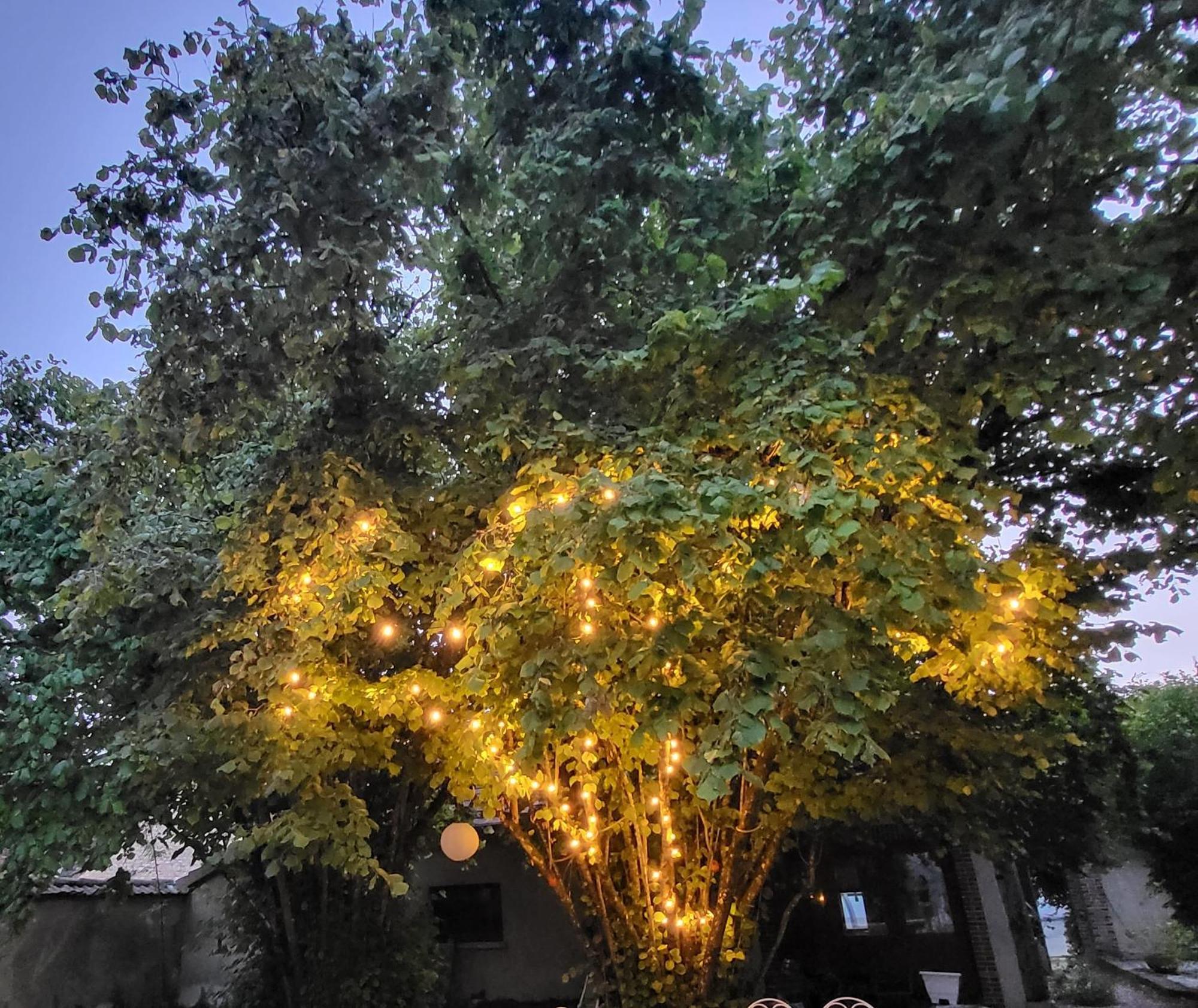 La Demeure D'Othe Bed & Breakfast Sormery Exterior photo